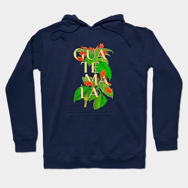 Guatemala Vintage Botanical Illustration Hoodie by Pico Originals